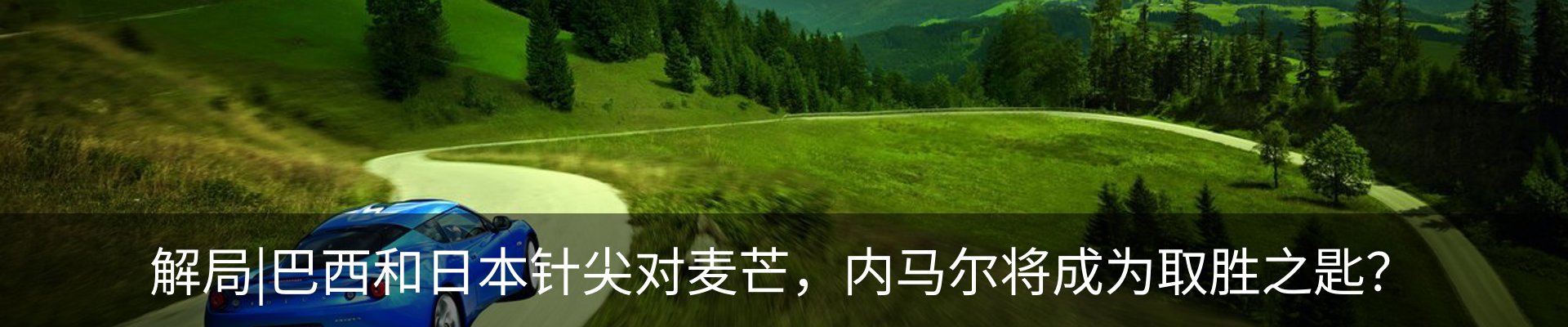 新闻动态